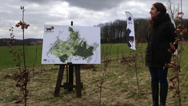 <p>Will mit ihren Kollegen Flandern grüner machen: Umweltministerin Zuhal Demir.</p>