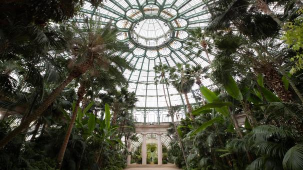 <p>Ein architektonisches Meisterwerk: die Königlichen Gewächshäuser in Laeken.</p>