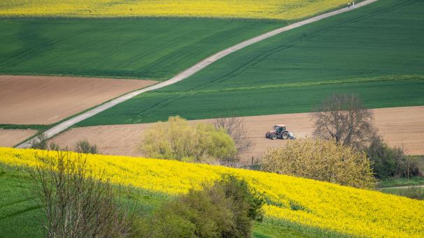 <p>Ein Bauer bearbeitet einen Acker zwischen den grünen Getreide- und gelben Rapsfeldern am nördlichen Rand des hessischen Odenwaldes. Rund ein Drittel der weltweiten Landwirtschaftsflächen könnte 2090 aufgrund der Klima-Krise nicht mehr für die Agrarproduktion geeignet sein.</p>