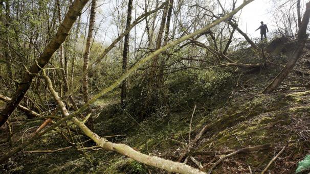 <p>Gerhard Hoppmann, langjähriger Leiter der Mordkommission Krefeld, zeigt in Richtung der Stelle, an der vor fast 25 Jahren eine Leiche gefunden wurde.</p>