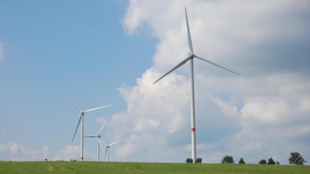 <p>Die Windräder in Emmels wurden beschmiert.</p>