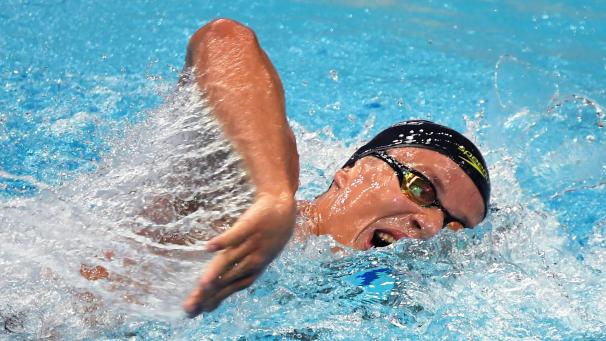 <p>Alexandre Marcourt</p>