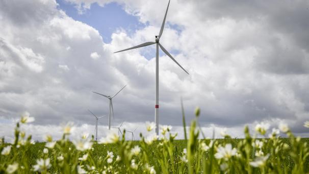 <p>Die Erweiterung des bestehenden Windparks Emmelser Heide um vier Windkraftanlagen sorgt in der Gemeinde St.Vith für viel Gesprächsstoff. Im Fokus stehen dabei vor allem die in Aussicht gestellte Kapital- und Bürgerbeteiligung.</p>