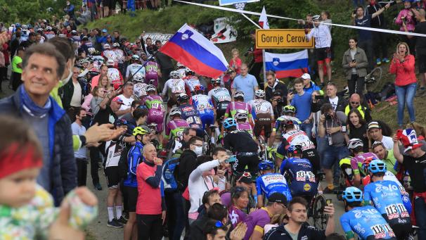 <p>BELGAIMAGE-176730455</p>