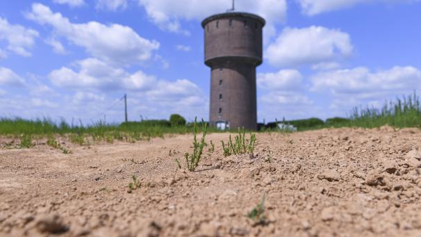 <p>Die Dürreperiode vom 15. März 2020 bis zum 15. September 2020 wurde als landwirtschaftliche Katastrophe anerkannt.</p>