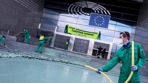 <p>Greenpeace-Aktivisten haben vor dem Europäischen Parlament ihrem Unmut Luft gemacht.</p>