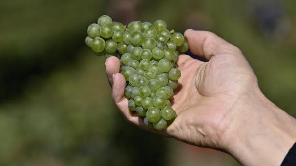 <p>belgaimage-168166667-full</p>