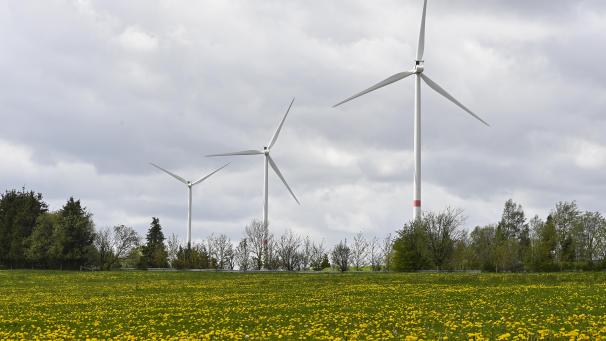 <p>Mehrheit und Opposition konnten sich auf eine gemeinsame Forderung in Sachen Kapital- und Bürgerbeteiligung am Windpark Emmels verständigen.</p>