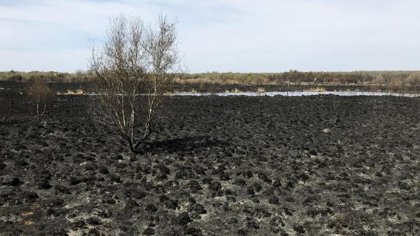 <p>Spuren des Großbrandes in dem Militärgebiet Ende April</p>