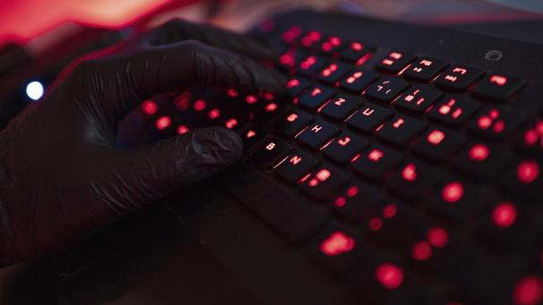 <p>Die Fälle von Cyberkriminalität haben im vergangenen Jahr zugenommen.</p>