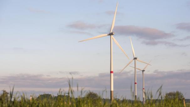 <p>WINDPARK 242272032</p>