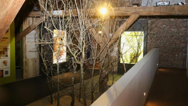 <p>Die Ausstellung zeigt die Vielfalt des Rohstoffs Holz.</p>