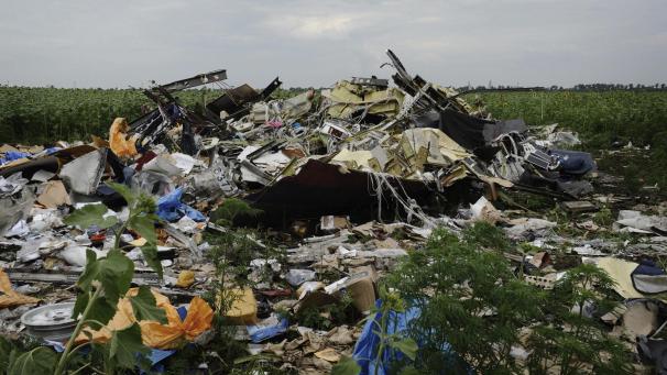 <p>Die Absturzstelle der MH17</p>