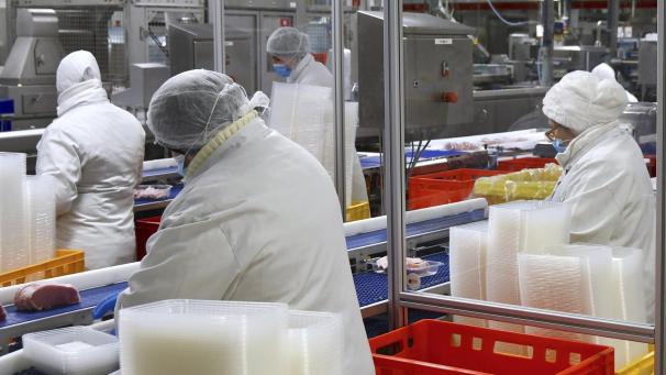 <p>Zahlreiche für die Lebensmittelindustrie erforderlichen Zutaten sind im vergangenen Jahr teurer geworden.</p>