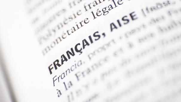 <p>Vor zehn Jahren hat die DG den Weg frei gemacht für bilinguale Abteilungen im Kindergarten, um die Französischkenntnisse zu fördern. Später wurde das Ganze dann auf Primarschulen ausgeweitet. Die Bilanz ist aber ernüchternd: Solche Abteilungen gibt es nur punktuell und auch nur im Norden der DG. Über mögliche Gründe dafür wurde jetzt im Parlament der DG diskutiert.</p>