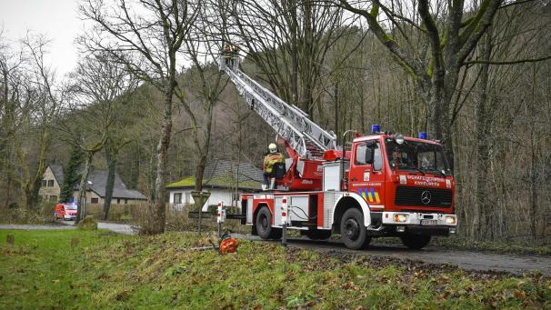 <p>20180103_hagemann_0061</p>