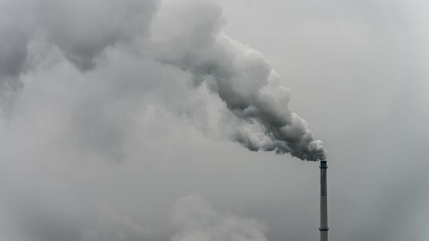 <p>Mit seiner zu laschen Klimapolitik verstößt Belgien gegen die Menschenrechte. So heißt es in einem Urteil des Gerichts Erster Instanz in Brüssel.</p>