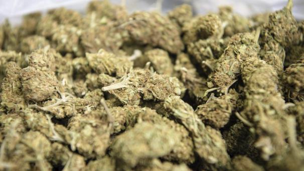 <p>B9726997280Z.1_20210510184205_000+GR6I3PB4B.1-0</p>