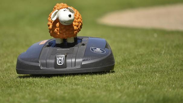 <p>Immer mehr Igel geraten unter messerscharfe Schneidetechnik. Der Lontzener Gemeinderat hat nun entschieden, dass vollautomatische Rasenmäher von 20 bis 8 Uhr nicht mehr eingesetzt werden dürfen.</p>