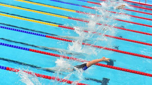 <p>Schwimmen dpa</p>