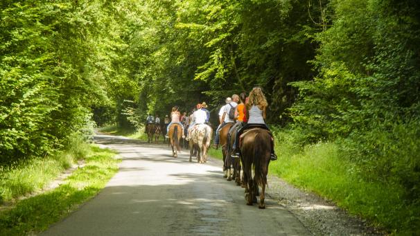 <p>Auf 552 km führt die Route durch die östlichen Ardennen. Die Strecke ist über einen QR-Code abrufbar.</p>