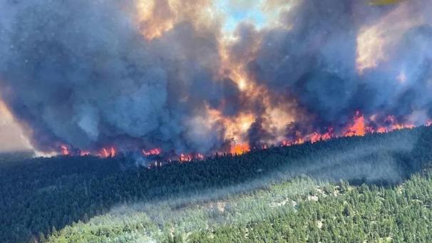 <p>Allein in der Provinz British Columbia wurden 136 Feuer verzeichnet, wie Cliff Chapman vom Wildfire Service am Freitag mitteilte.</p>