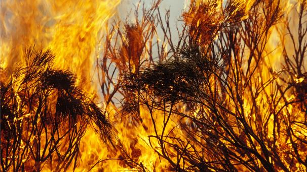 <p>PHOTONEWS_10506875-392</p>