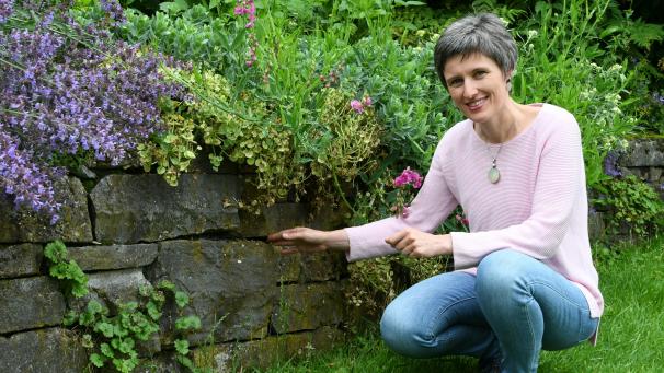 <p>Durch Trockenmauern lassen sich nicht nur ästhetische Hingucker in den Garten einbauen. Sie bieten vielen Kleintieren auch Unterschlupf. Michaela Schumacher-Fank erklärt, wie sich die Biodiversität im Garten fördern lässt.</p>