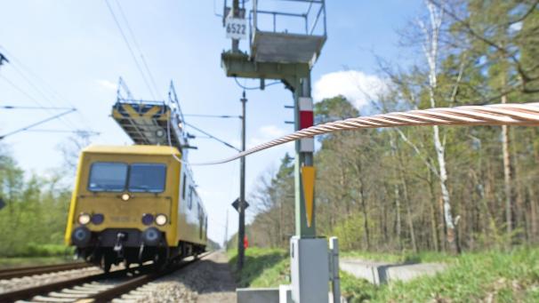 <p>In Walhorn und Lontzen hatte die Bande unter anderem zugeschlagen.</p>