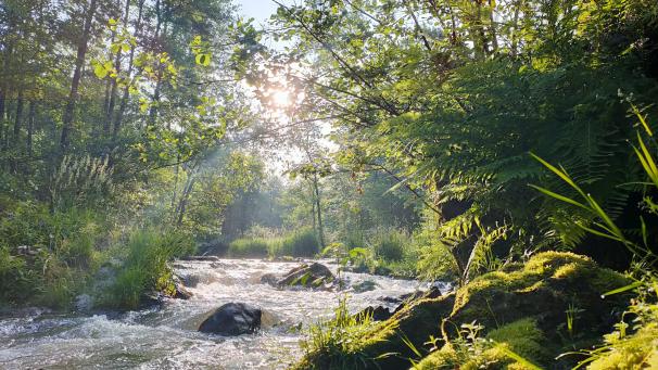 <p>Passend zu ihrem Jahresthema „Wasser, unsere Lebensquelle“ präsentiert JCI St.Vith Eifel-Ardennen eine Ausstellung.</p>