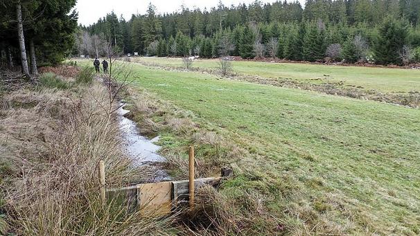 <p>In Cierreux bei Gouvy wurde ein historischer Flüxgraben, der zur Bewässerung der angrenzenden Wiesen diente, wiederhergestellt.</p>