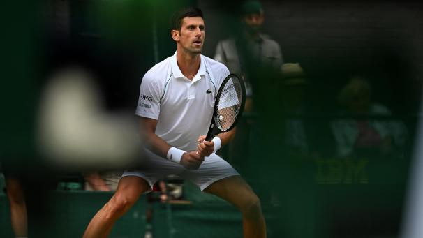<p>Novak Djokovic in Aktion</p>