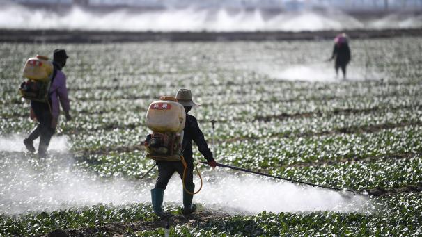 <p>Die Vertragsstaaten der UN-Konvention über die biologische Vielfalt (CBD) wollen den dramatischen Verlust von Arten und Lebensraum bremsen oder möglichst stoppen.</p>