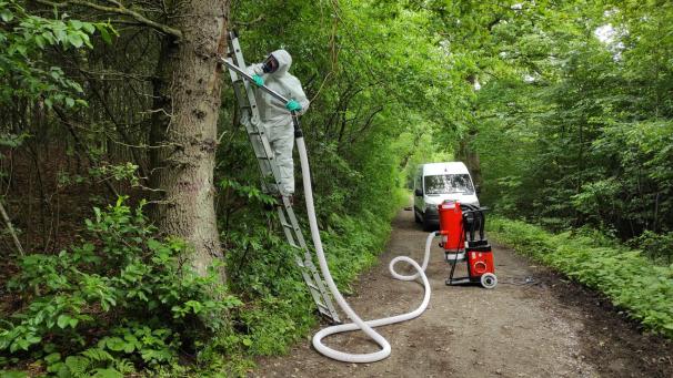 <p>Loïc Hardy hatte in der letzten Woche allein auf dem Gebiet der Gemeinde Lontzen drei Einsätze, um die Raupen des Eichen-Prozessionsspinners „wegzustaubsaugen“.</p>