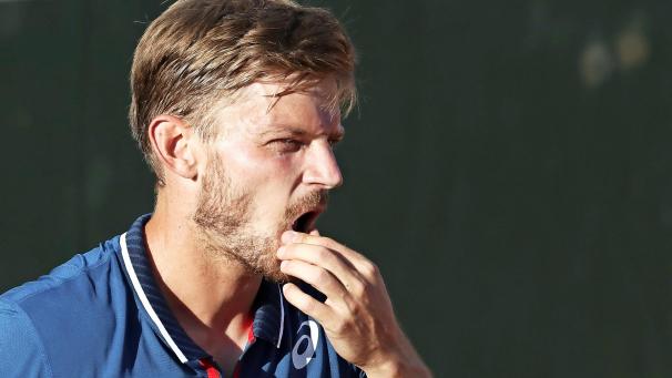 <p>Ein nachdenklicher David Goffin</p>