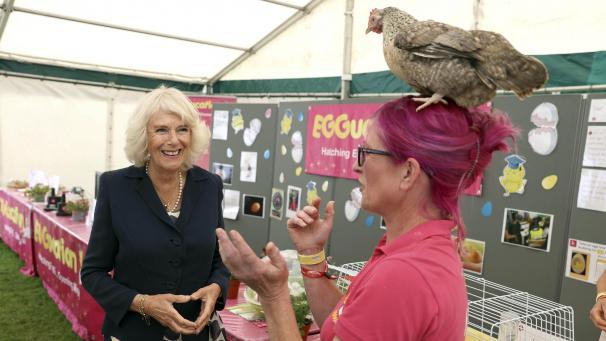 <p>Camilla (links), Herzogin von Cornwall, beim Besuch der Agrarwirtschaftsausstellung „Great Yorkshire Show“ in der letzten Woche. Sie traf dabei auf Deb Howe, die ein Huhn auf dem Kopf trug.</p>