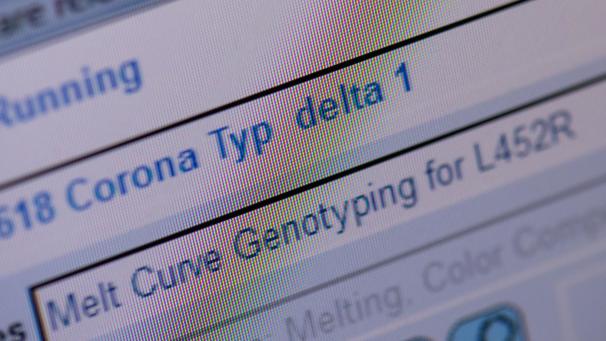 <p>Auf die „Delta-Variante“ des Coronavirus weist eine Zeile auf einem Monitor hin.</p>