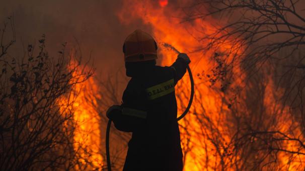 <p>Ein Feuerwehrmann kämpft gegen einen Waldbrand in Varybobi. Feuerwehrleute in Griechenland kämpfen auch am Mittwochmorgen weiter gegen den Großbrand in den nördlichen Vorstädten Athens.</p>