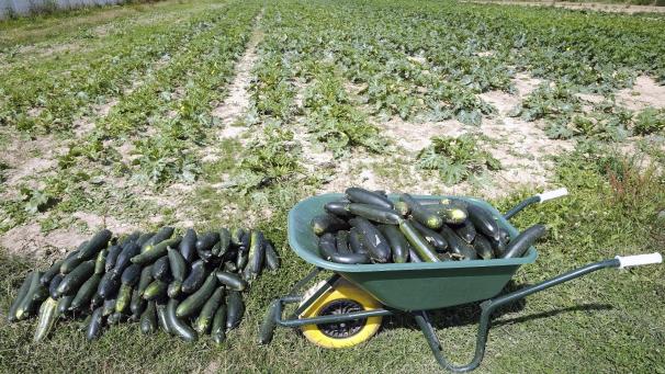 <p>BIO belgaimage-83464539-full</p>