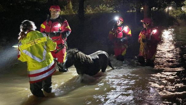 <p>Mitarbeiter der Essener Tierrettung e.V. ziehen ein Pony durch das Hochwasser im Kreis Düren. Die Tierretter haben bei der Hochwasserkatastrophe in Nordrhein-Wesfalen und Rheinland-Pfalz viele Tiere gerettet.</p>