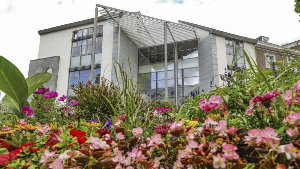 <p>B9727892680Z.1_20210803181715_000+G0RIM5AGJ.1-0</p>