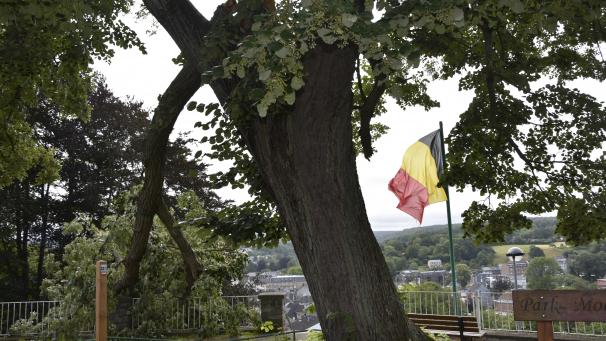 <p>Das Wahrzeichen der Eupener Moorenhöhe, eine alte Linde, hat einen Teil ihrer Baumkrone verloren. Aus Sicherheitsgründen wurde das Areal vorübergehend gesperrt.</p>