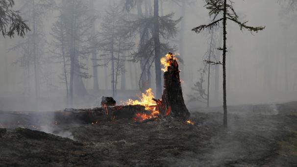 <p>Angesichts der verheerenden Waldbrände in Russland rechnen Experten mit langfristigen Folgen für den Permafrostboden.</p>