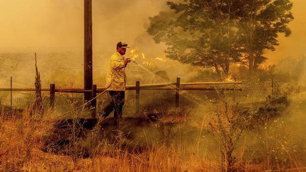 <p>Ein Mann löscht Flammen eines Waldbrandes des so genannten Dixie-Feuers südlich von Janesville.</p>