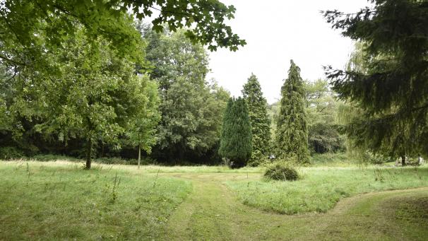 <p>„Wir wollen harmonische Zonen schaffen, in denen das Gras höher wächst. Durch Mähen können wir Wege und Formen einbringen, die ästhetisch wirken“, erklärt Umweltschöffe Yannick Heuschen einen Aspekt des „alternativen Pflegekonzepts“.</p>