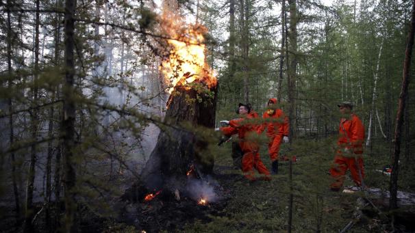 <p>Die verheerenden Waldbrände in Russland werden zunehmend zu einer Gesundheitsgefahr für die Menschen.</p>