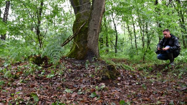 <p>An dieser Stelle im limburgischen Dilserbos wurden die sterblichen Überreste von Jürgen Conings am 20. Juni zufällig gefunden.</p>