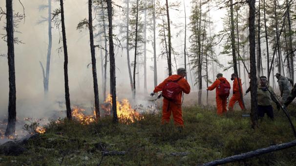 <p>Feuerwehrleute und Freiwillige versuchen, einen Waldbrand zu löschen.</p>