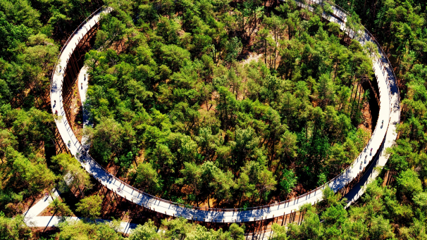 <p>In der Provinz Limburg haben Fahrradfreunde unter anderem die Möglichkeit, in Bokrijk durch Baumkronen („Fietsen door de Bomen“) zu fahren.</p>