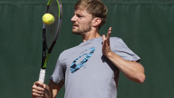 <p>David Goffin startet am Dienstag in die US Open</p>